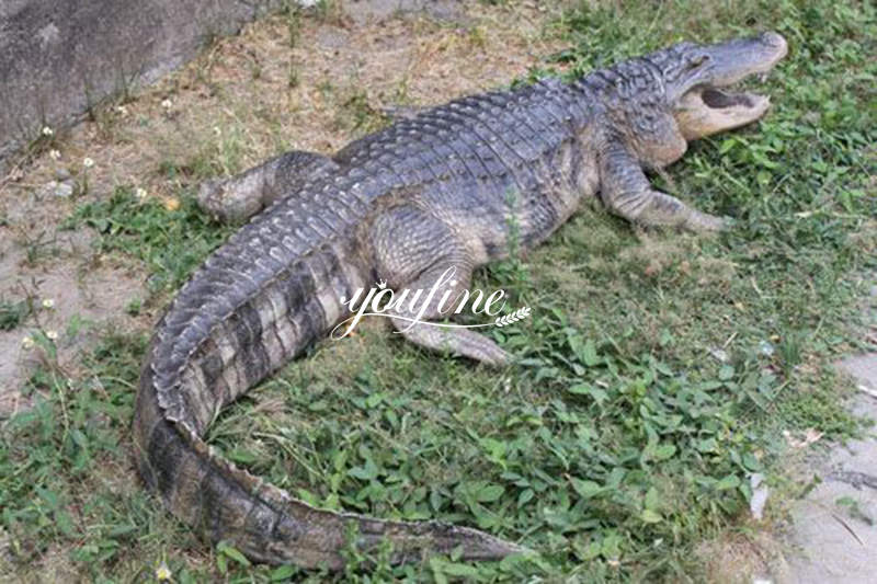 outdoor alligator statue-YouFine Sculpture-02