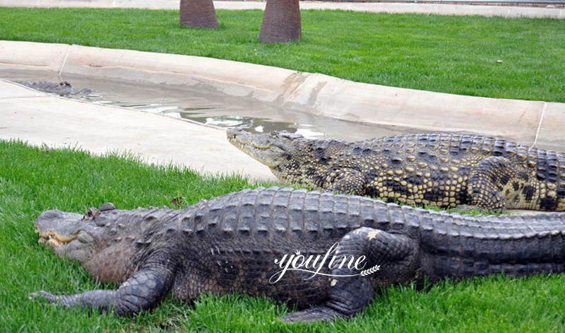 outdoor crocodile statue-YouFine Sculpture-02