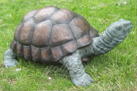yard tortoise statue