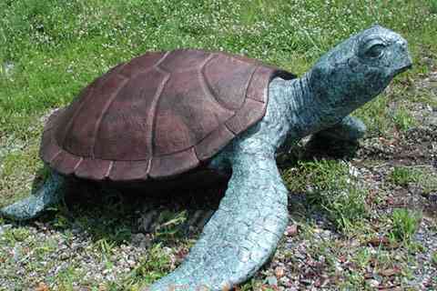Life size garden brass tortoise statues by sea