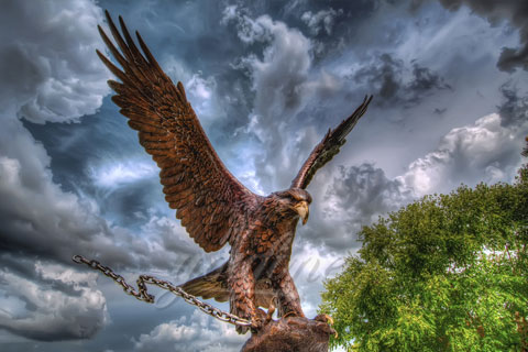 Outdoor Decor eagle bronze animal sculptures