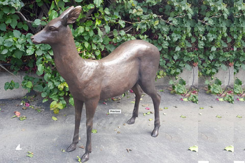 Small Outdoor Life size metal bronze animal deer statue on sale