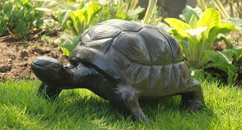 bronze tortoise-01