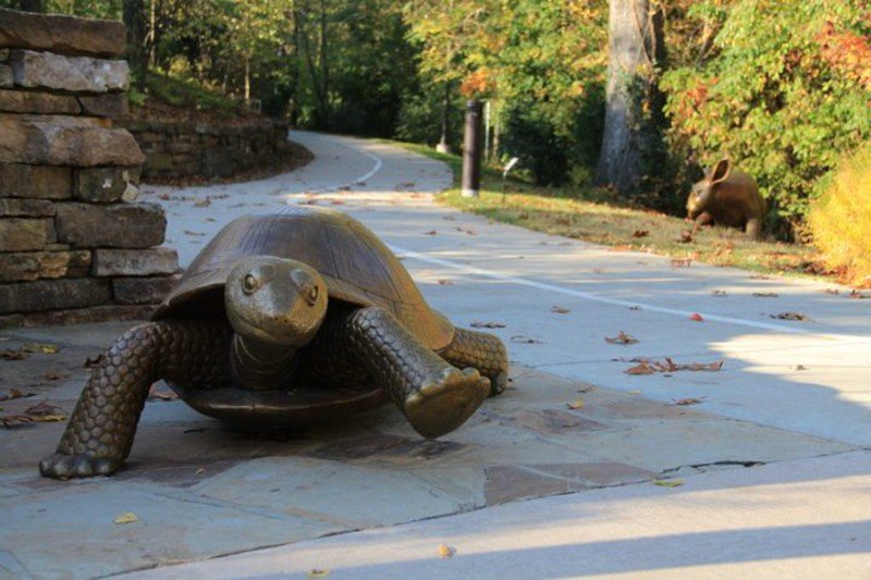 bronze tortoise sculpture-02