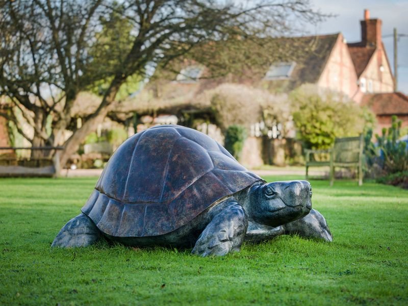 bronze tortoise statue-02