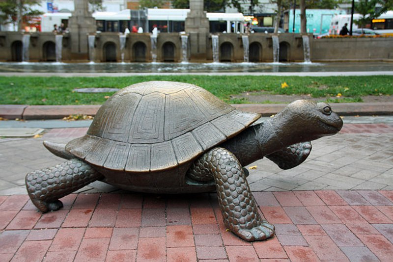 bronze tortoise statue-3