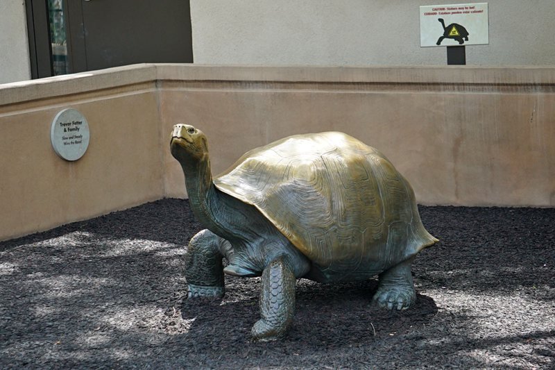 bronze tortoise statue