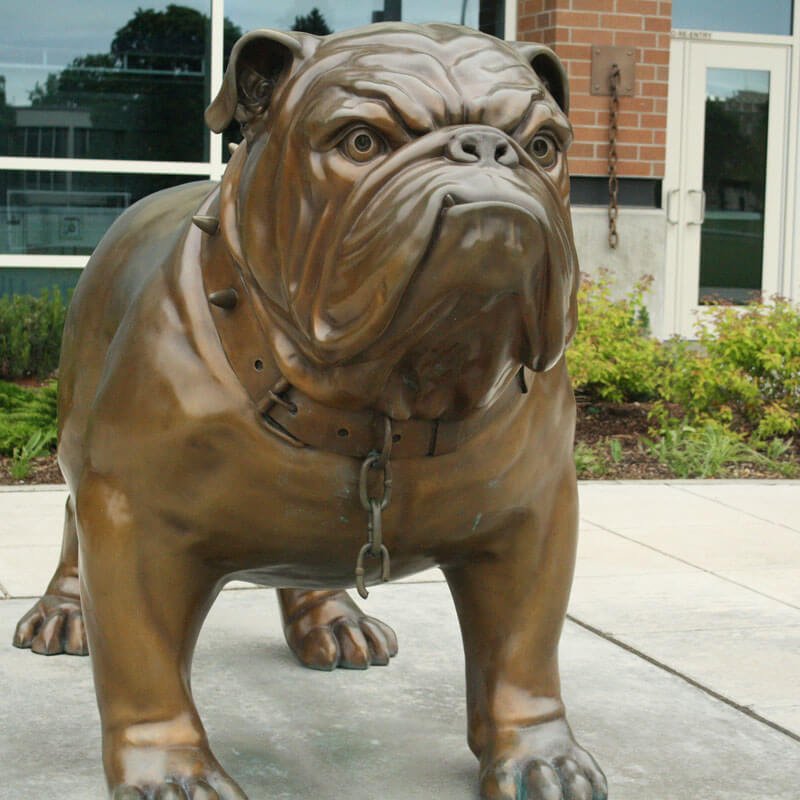 large bronze bulldog statue for sale