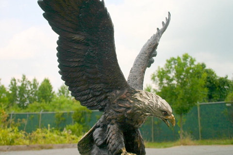 Large Outdoor Bald Eagle Statues Bronze Wildlife Sculptures for Sale BOKK-342