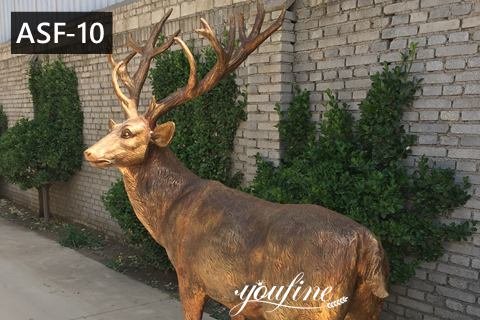 Outdoor Life Size Bronze Deer Garden Statue for Sale ASF-10