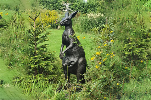 Life-size Bronze Kangaroo Sculpture Decor for Sale BOKK-991