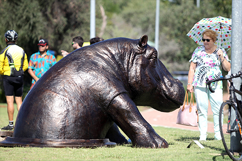 Life Size Bronze Hippo Sculpture for Garden for Sale BOKK-979