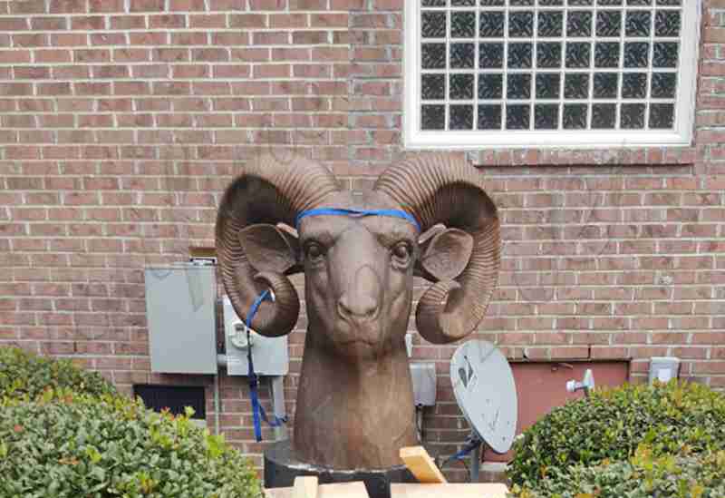 Feedback Bronze Ram Head Sculpture From American Client (1)