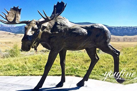 life size moose sculpture-YouFine Sculpture