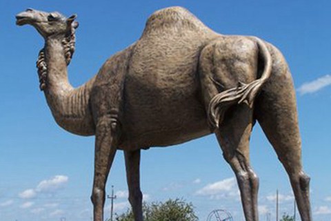 Life Size Bronze Camel Statue High Quality Decor Supplier BOKK-390