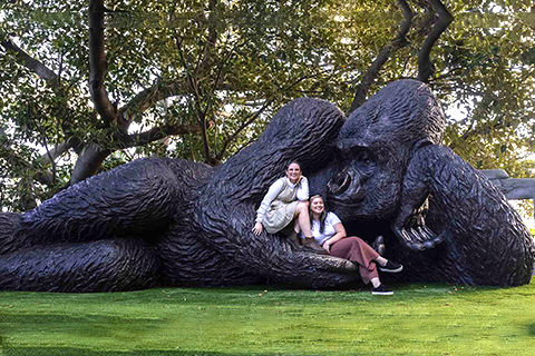 Custom Giant Gorilla Statue in Bronze Design BOK1-379