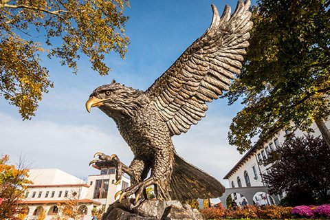 Large Bronze Cast Hawk Statue for Park BOK1-241