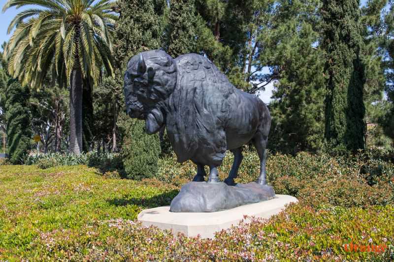 life size bison statue for sale-YouFine Statue