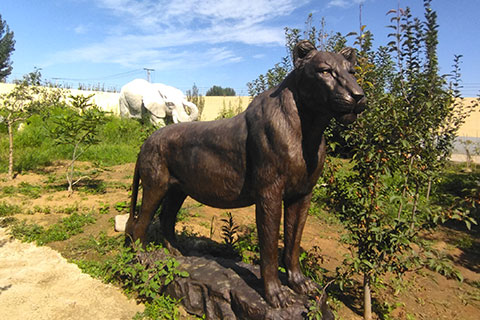 Life Size Outdoor Bronze Lion Statue for Sale BOK1-485