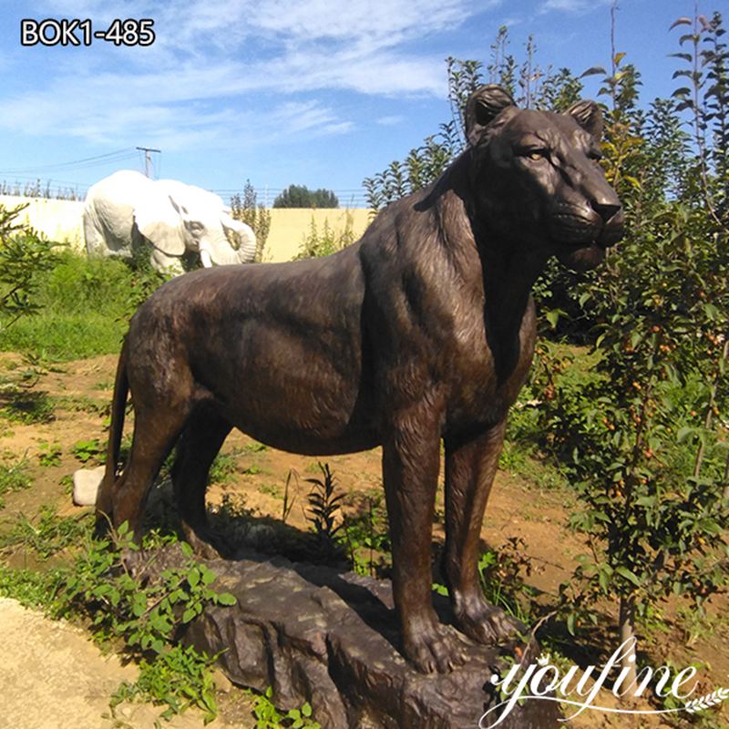 Life Size Outdoor Bronze Lion Statue for Sale