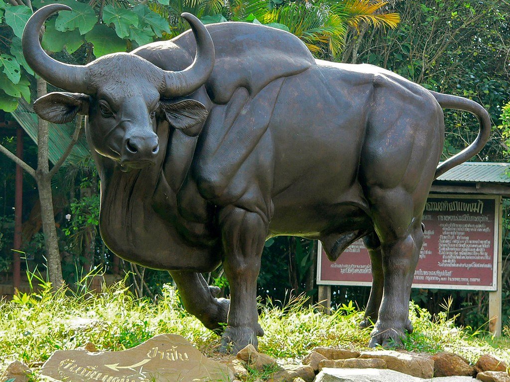 bronze bull sculpture5