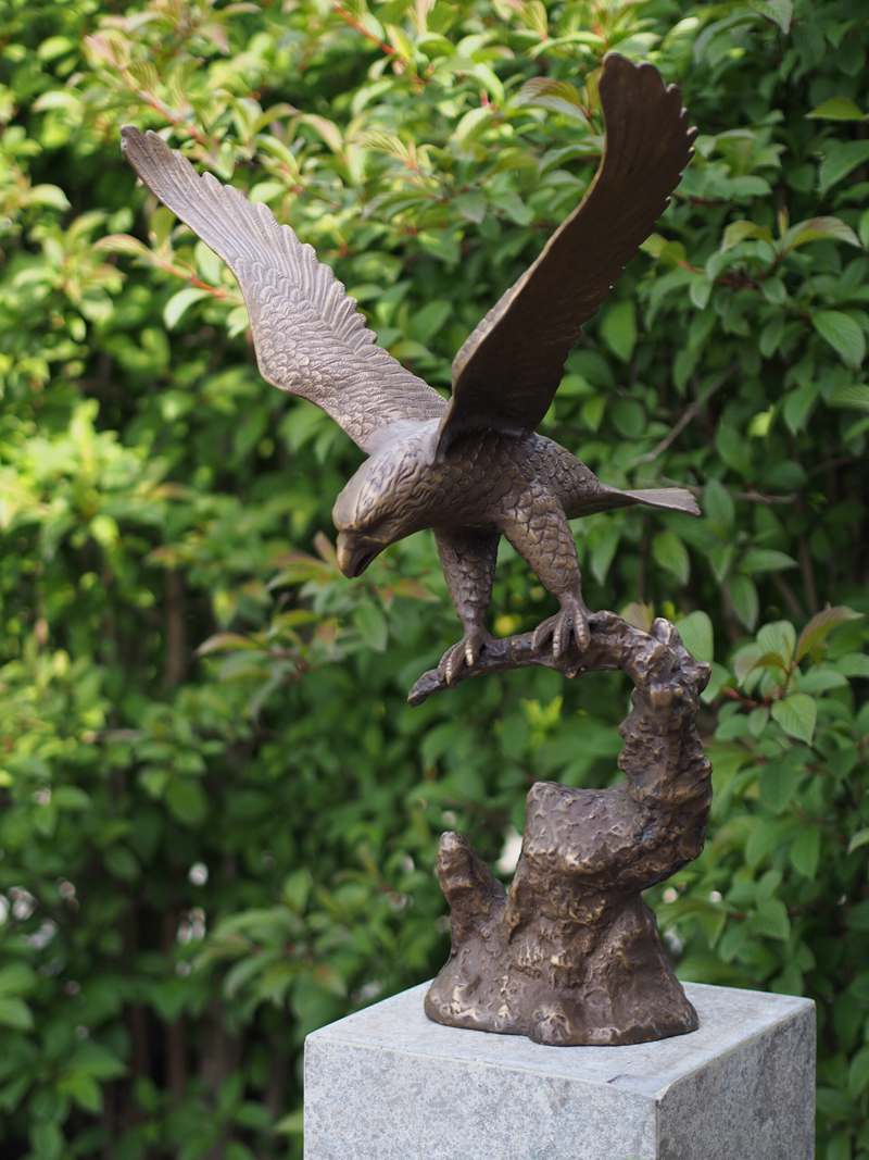 bronze eagle sculpture（3）