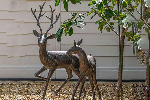 Outdoor Life Size Bronze Deer Statues for Sale BOK1-516