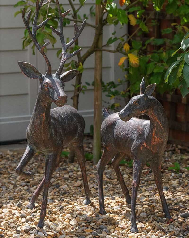 bronze deer (7)