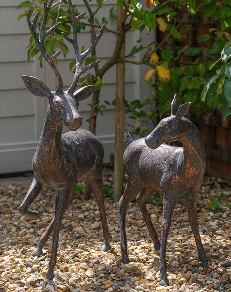 bronze deer (7)