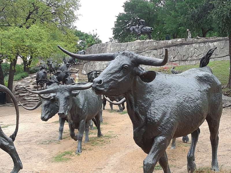 cattle sculpture