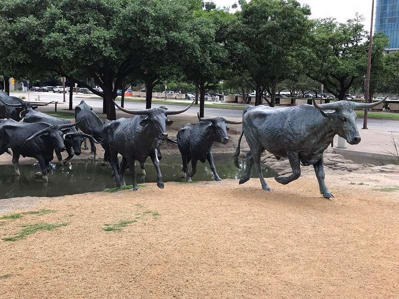 cattle sculpture