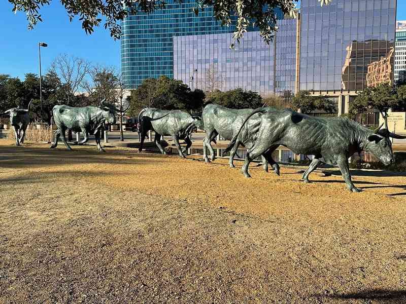 cattle sculpture