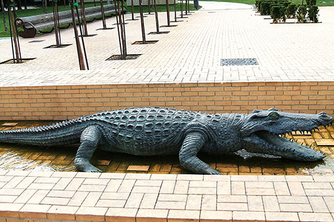 Life Size Bronze Crocodile Sculpture Wildlife Animal BOK1-520