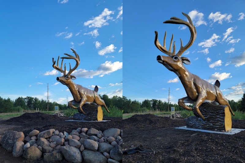 bronze deer sculpture for lawn (1)