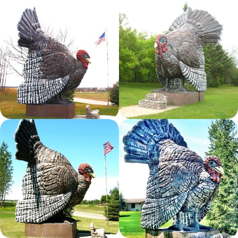 large bronze chicken statue (2)