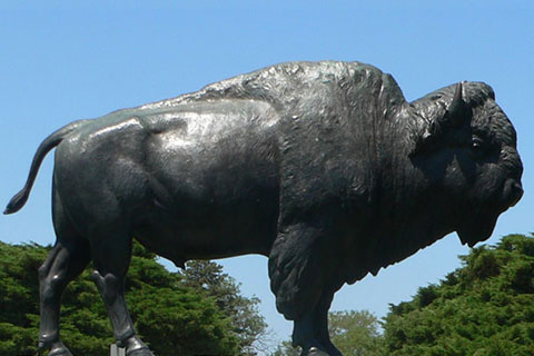 Life Size Bronze Bison Sculpture for Outdoor