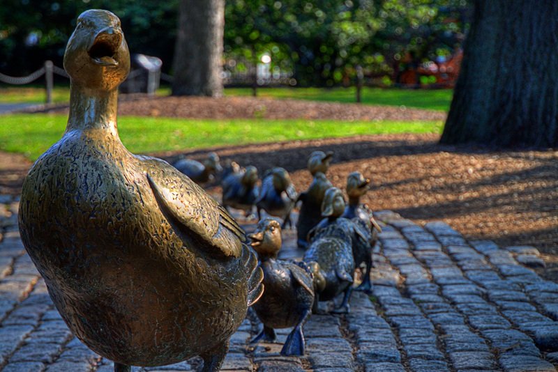 bronze duck statue (2)