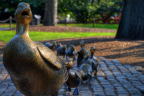 Outdoor Custom Bronze Duck Statue Decor