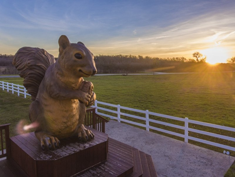 bronze squirrel statue (1)