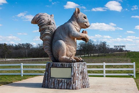 bronze-squirrel-statue