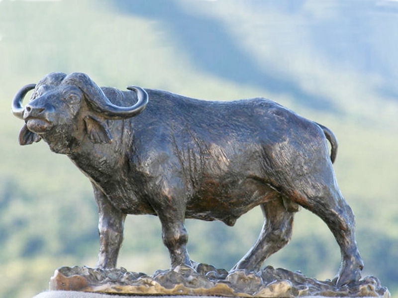 Bronze buffalo statue (1)