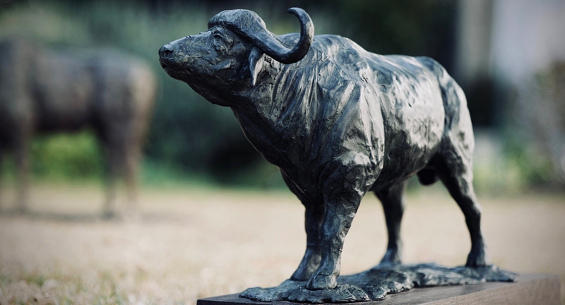 Bronze buffalo statue (3)