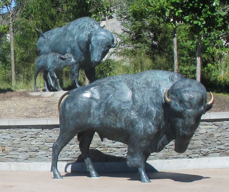 bronze Buffalo Bison Statue (2)