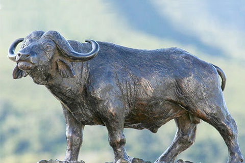 Life Size Bronze Cape buffalo Statue for Yard