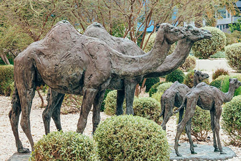 Abstract Outdoor Bronze Camel Sculpture for Sale