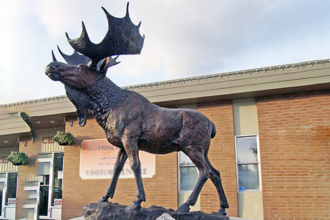 Large Bronze Deer Sculptures for Garden