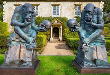 bronze monkey with skull statue (5)